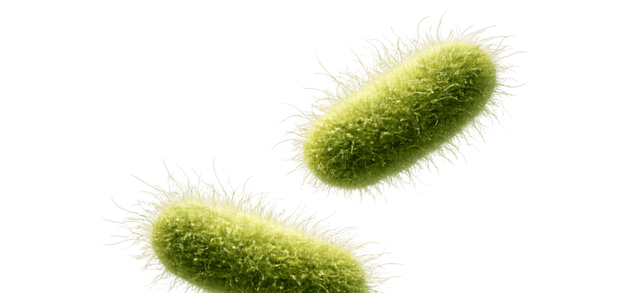 Environmental and food safety illustration for industrial microbiology — molecular diagnostics technologies and multiplex pathogen detection by TAAG.