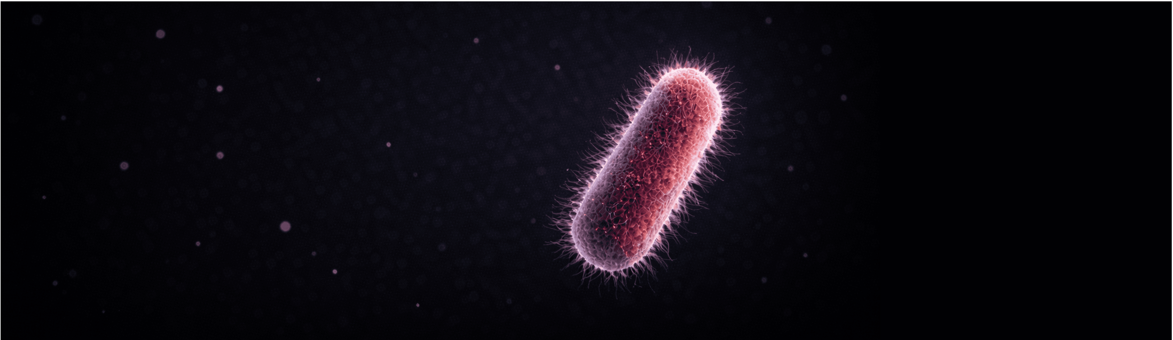 Elevia 1.1 Salmonella spp.
