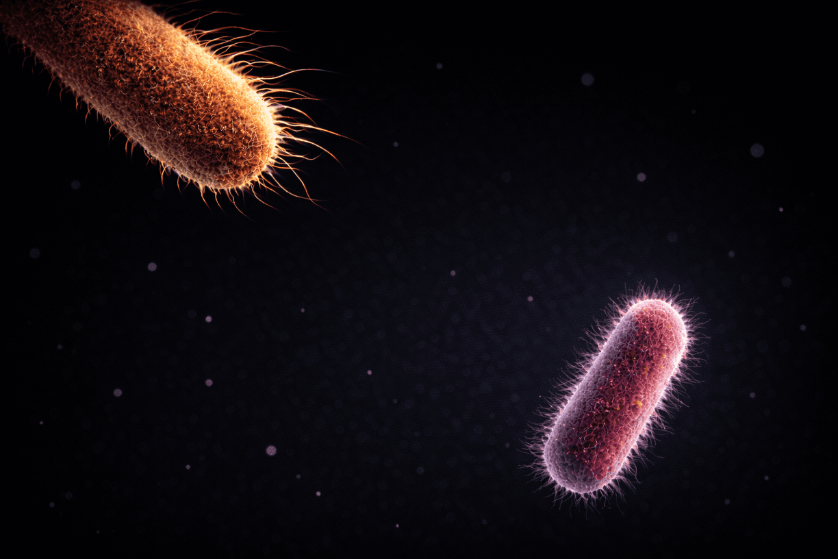 Elevia 2.8 Salmonella spp. and Listeria spp.