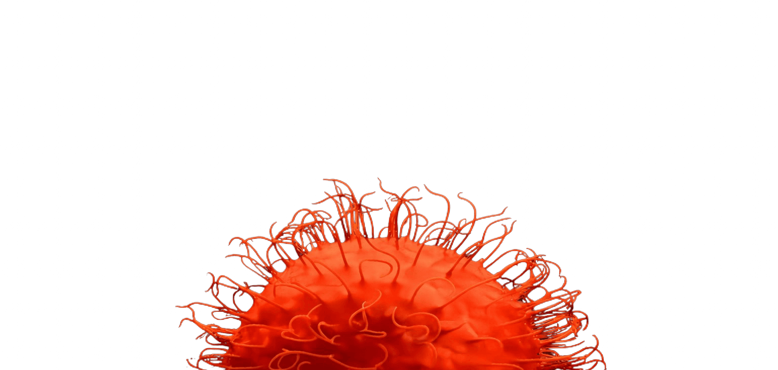 Hyper-realistic bacteria visualization
