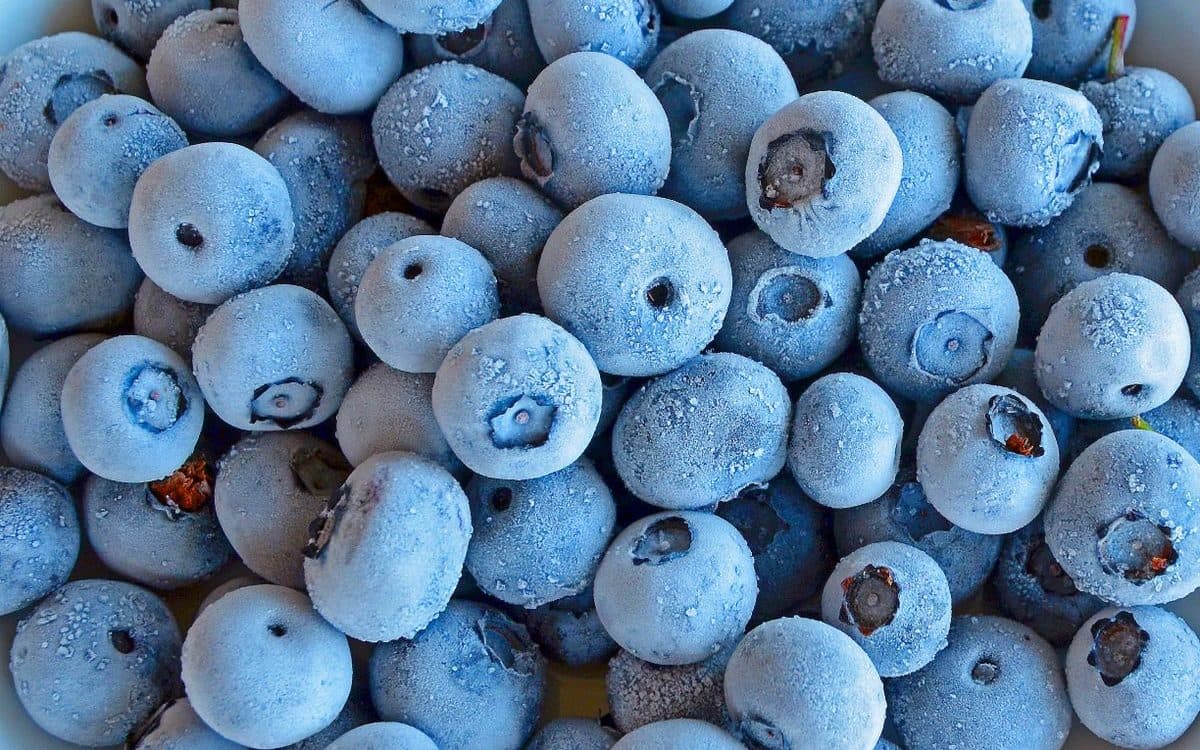 Exportadora Chilena de Frutos Rojos Bajo Alerta de Importación de la FDA por Brote de E. coli en EE. UU.