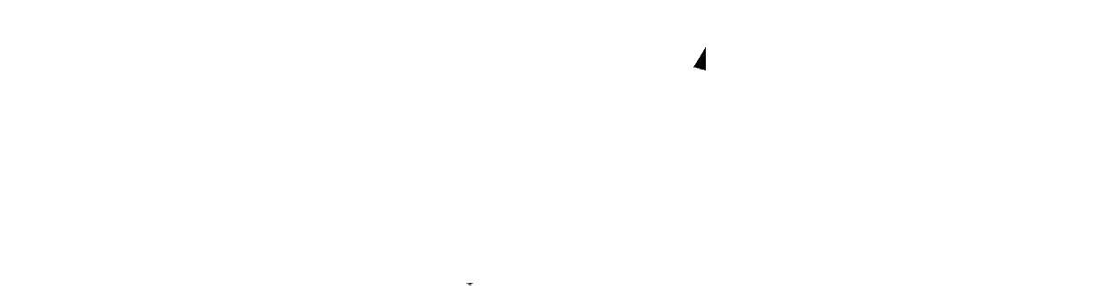 TAAG logo