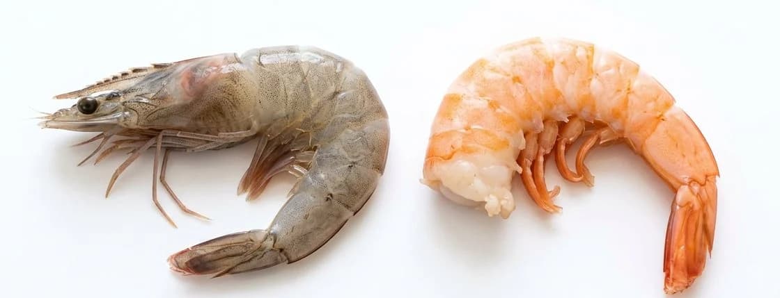 Las dos matrices del estudio, una al lado de la otra: un camarón crudo, gris, y un camarón cocido, rosa