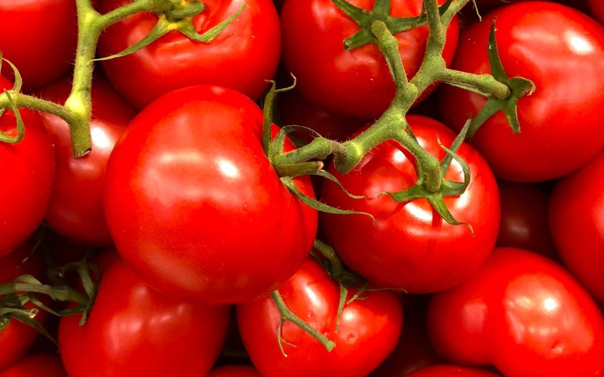 Le Royaume-Uni ajoute 73 cas à l'épidémie prolongée de Salmonella dans les tomates cerises de Sicile