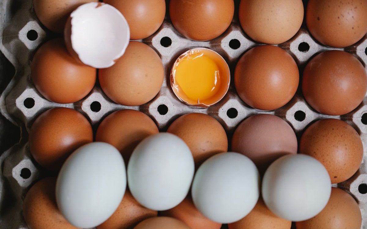 Italia Retira un Lote de Huevos Frescos por Riesgo de Salmonella spp.