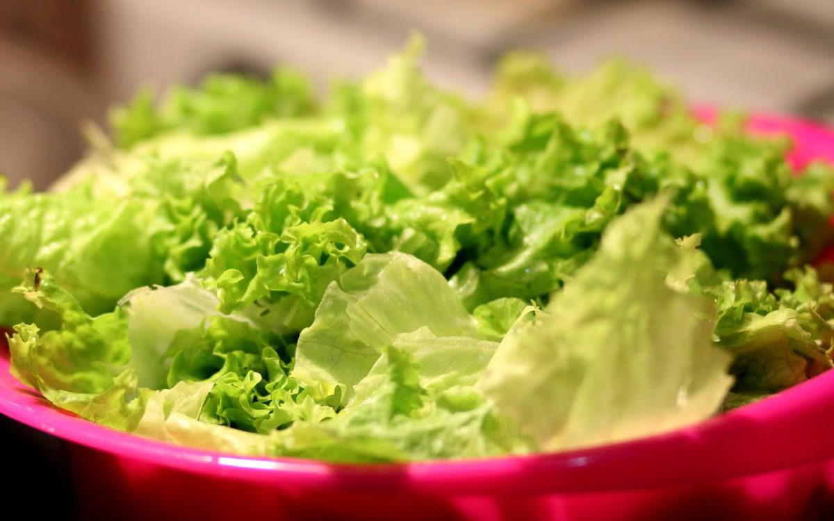 Una cadena de supermercados Retira Ensalada de Lechuga Iceberg Cortada por Salmonella