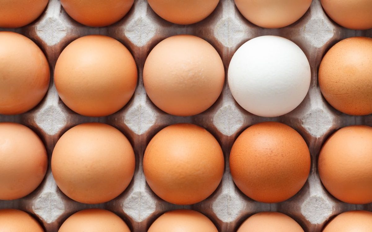 Kontaminierte Eier aus belgischem Ausbruch eines Erzeugers Auch in den Niederlanden Verkauft