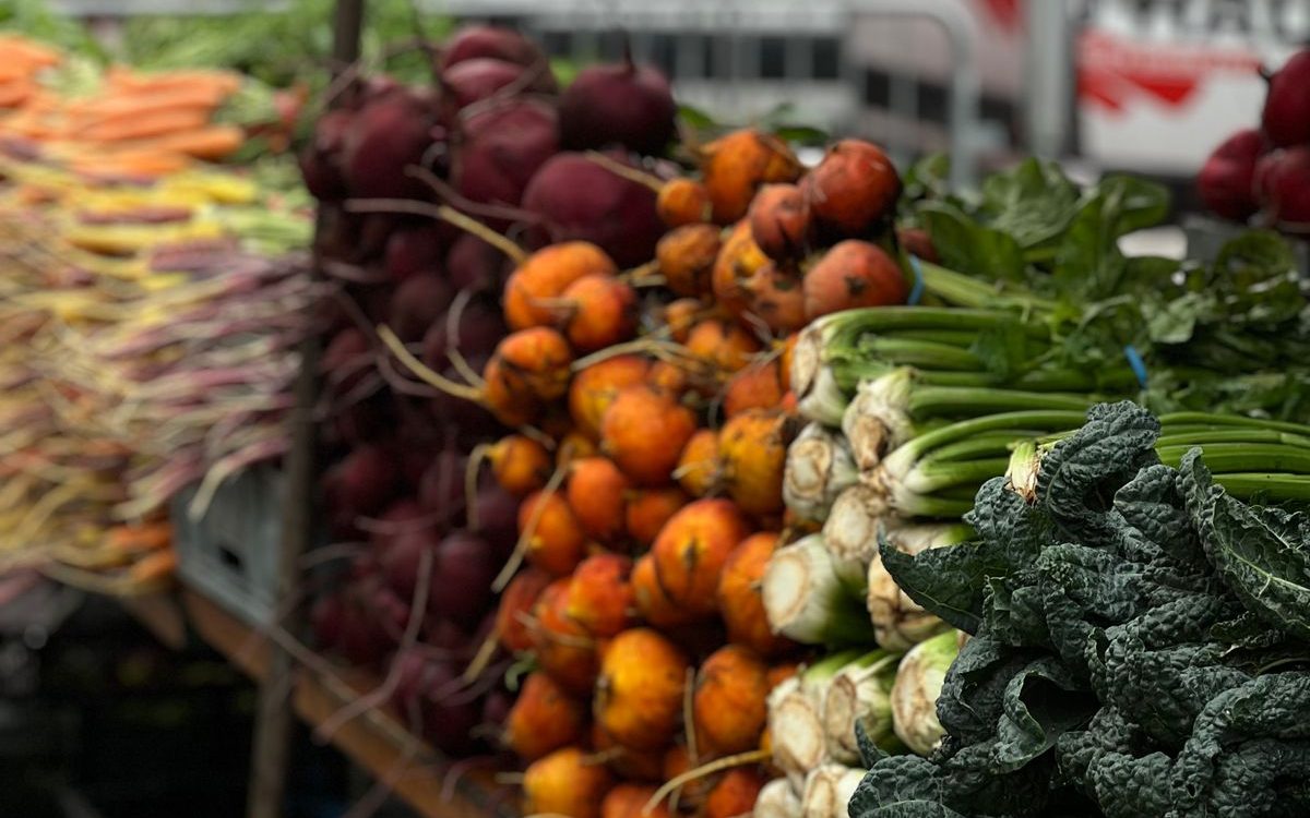 Chile Registra 1.563 Brotes de Enfermedades Transmitidas por Alimentos en 2025, la Cifra Más Alta en Cinco Años